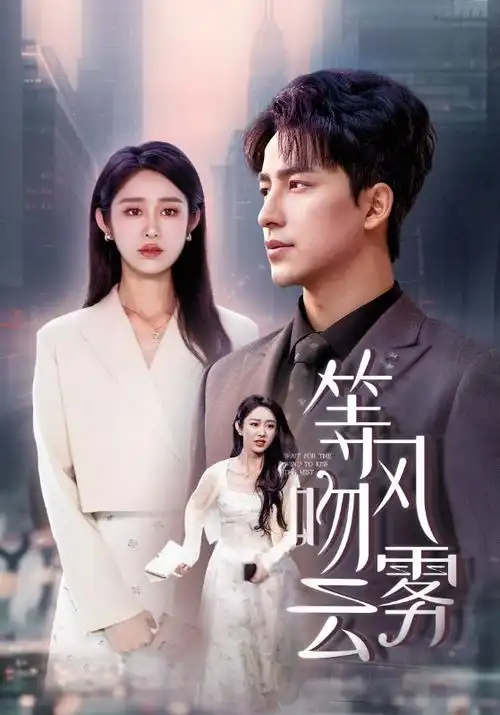 热播电视剧全集《雾港迷雾》在线观看